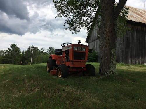 Red Tractor Under a Tree