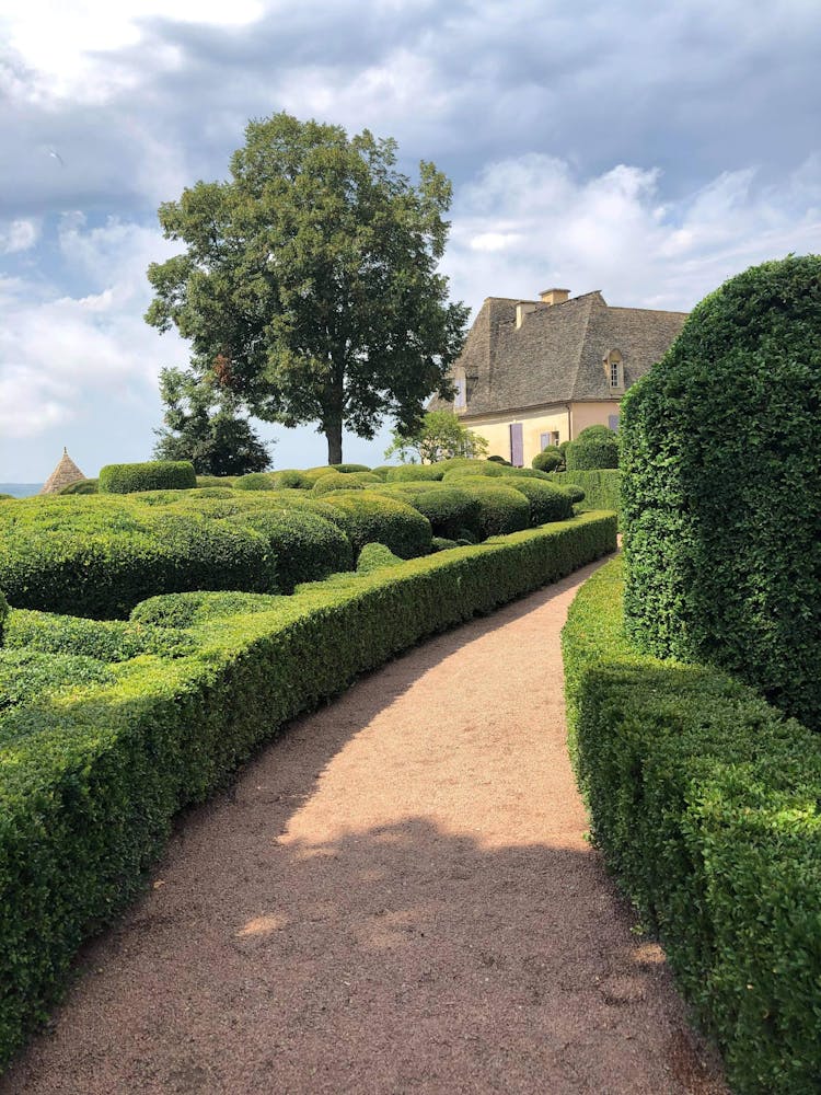 Pathway In The Garden