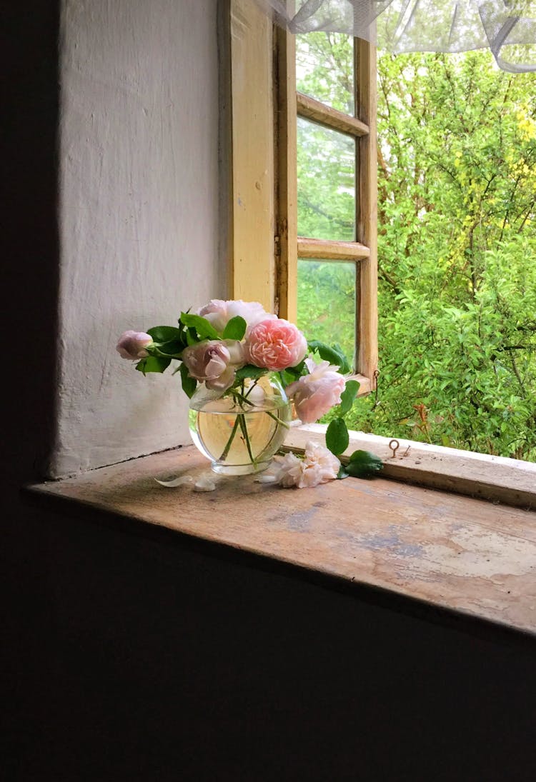 Flowers In Vase On Windowsill In House