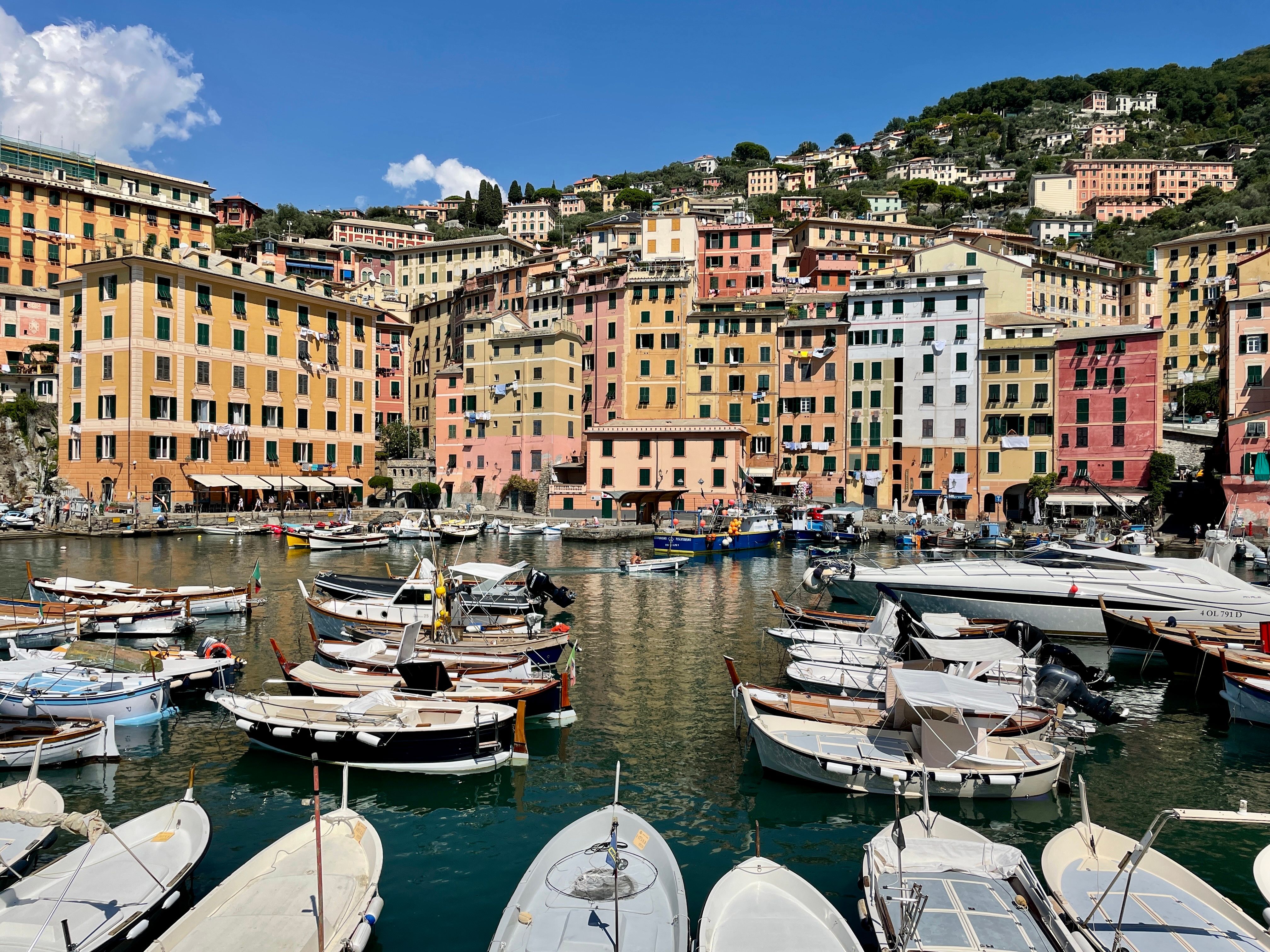 Boats Docked On The Side Of The River Free Stock Photo