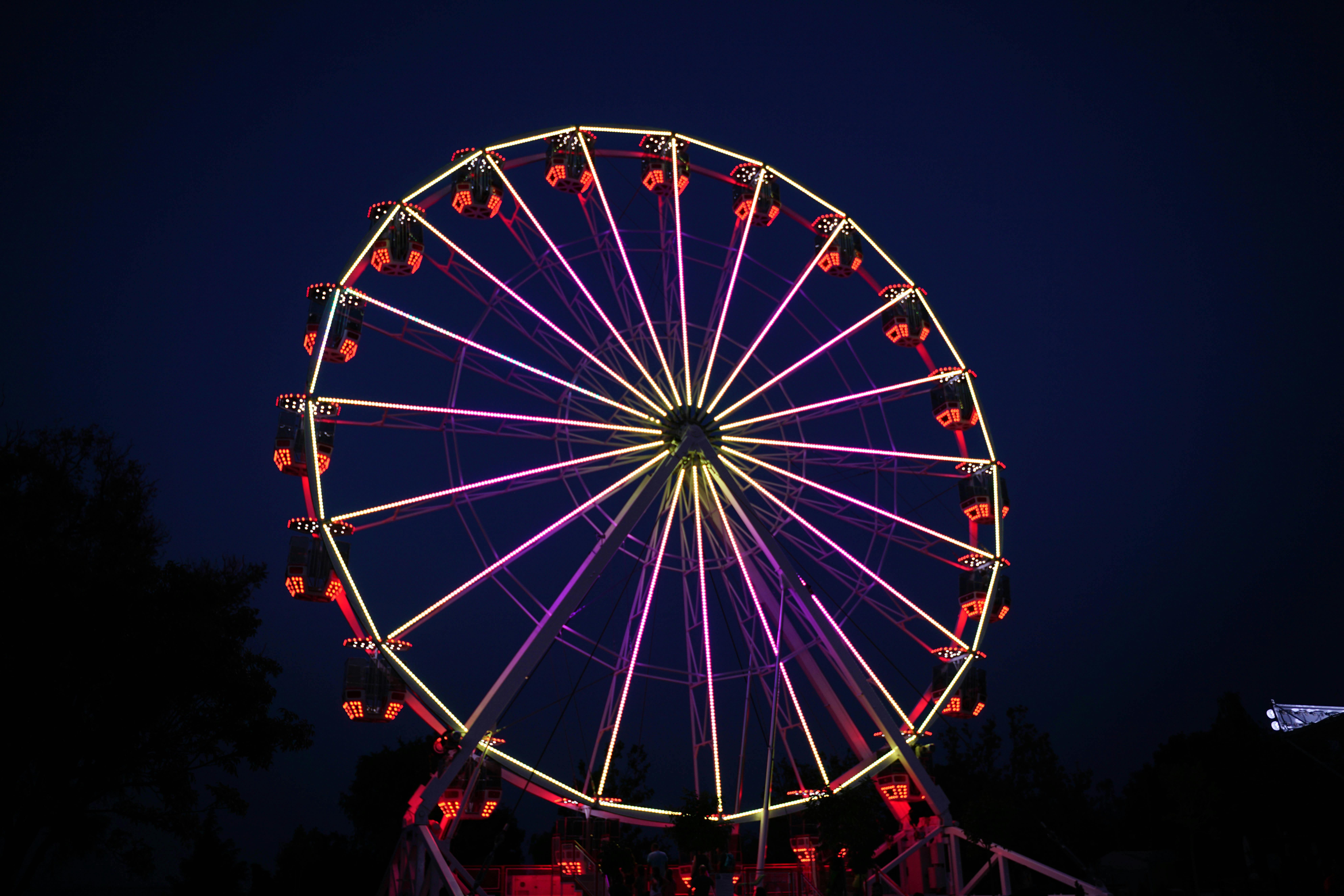 Brockton fair offers free health and wellness activities — Photo by Vladimir Srajber on Pexels