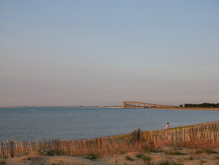 Peaceful Sea During Dusk 