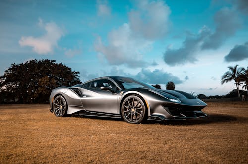 Gray Sports Car Parked on Grass