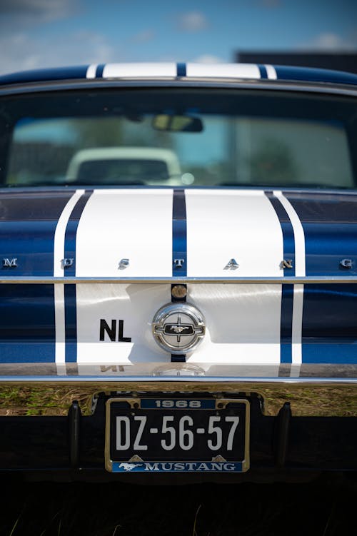 Close-up Photo of a Mustang's Rear Bumper 
