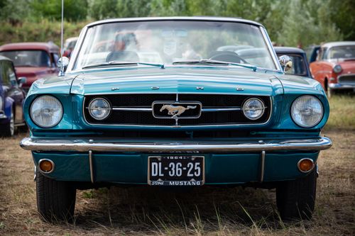 Free Front view of a classic 1964 Ford Mustang on display at a car show in Moerdijk, Netherlands. Stock Photo