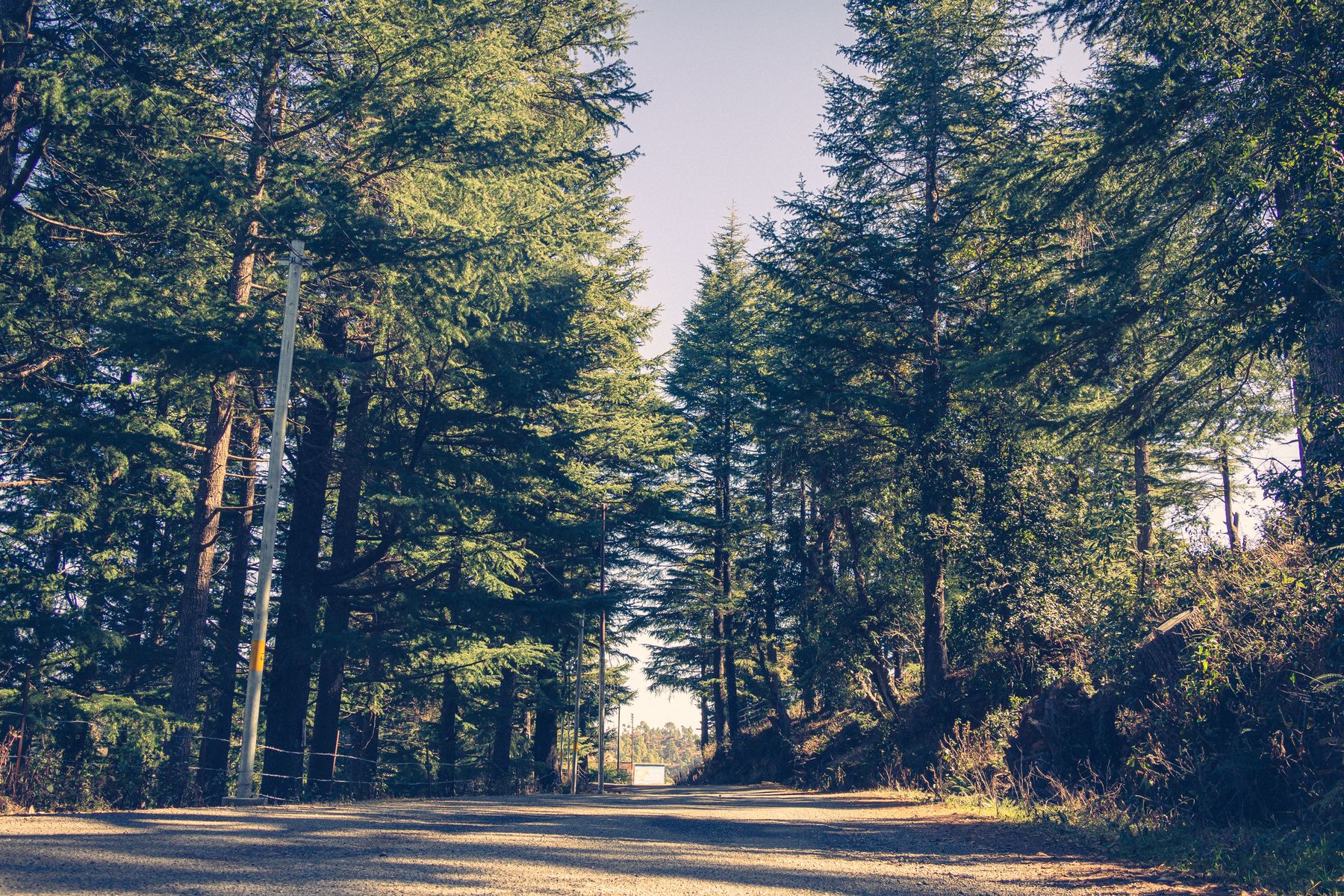 Gwaldam, Kumaon — Uttarakhand