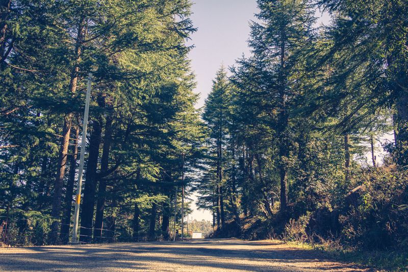 Gwaldam — Hill Station destination in Uttarakhand