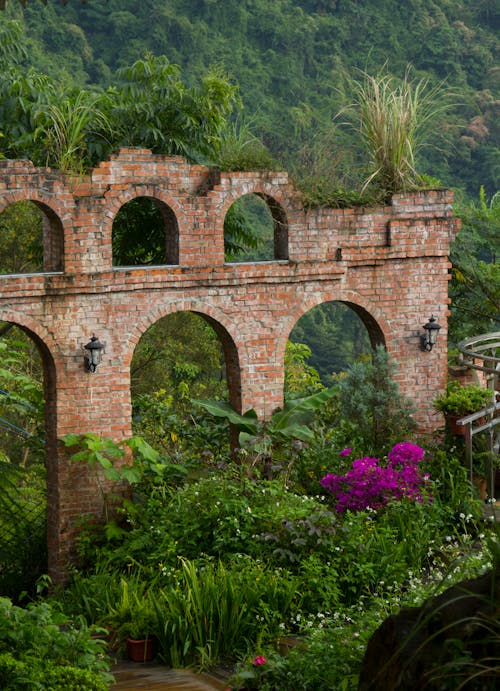 Arches on a Brick Wall Near Green Plants
