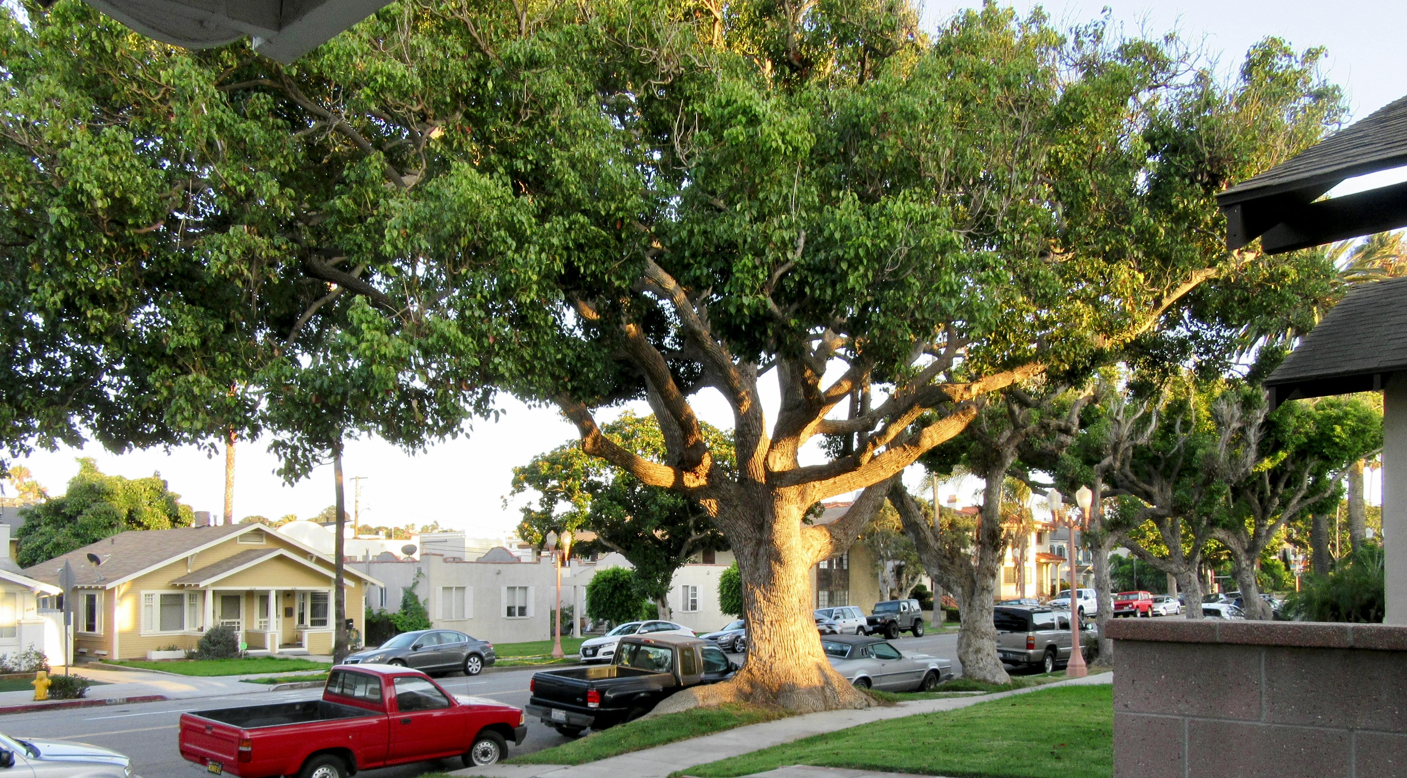 太原保险公司如何用肇新智能文档比对处理扫描版保单条款的细微修改