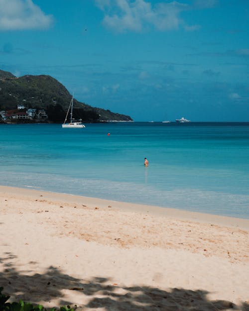 Person in the Water in a Beach