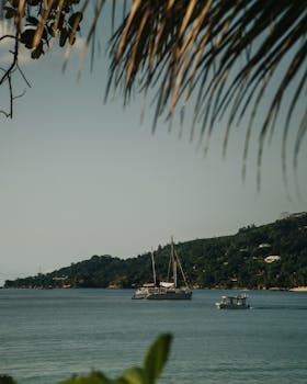 Serene photograph of yachts on a tranquil ocean with lush green island backdrop, perfect for travel inspiration.