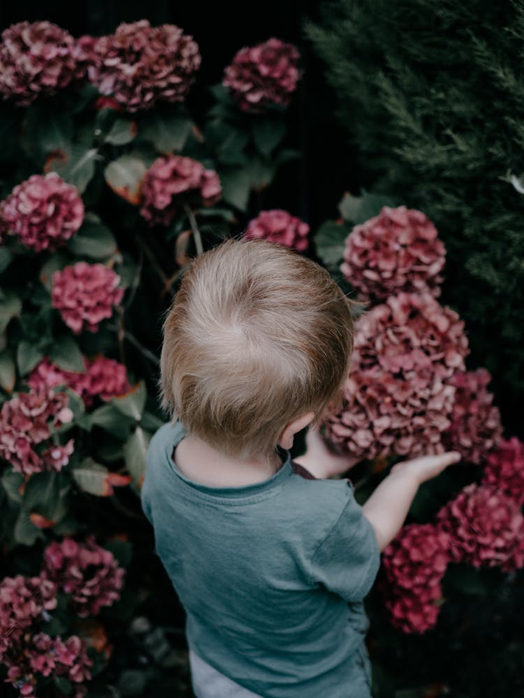 Baby Looking At Flowers In Garden