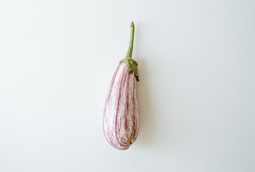 Free White And Purple Eggplant Stock Photo