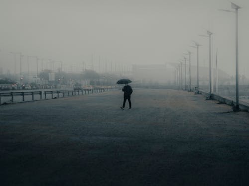 Immagine gratuita di camminando, coperto, nebbioso
