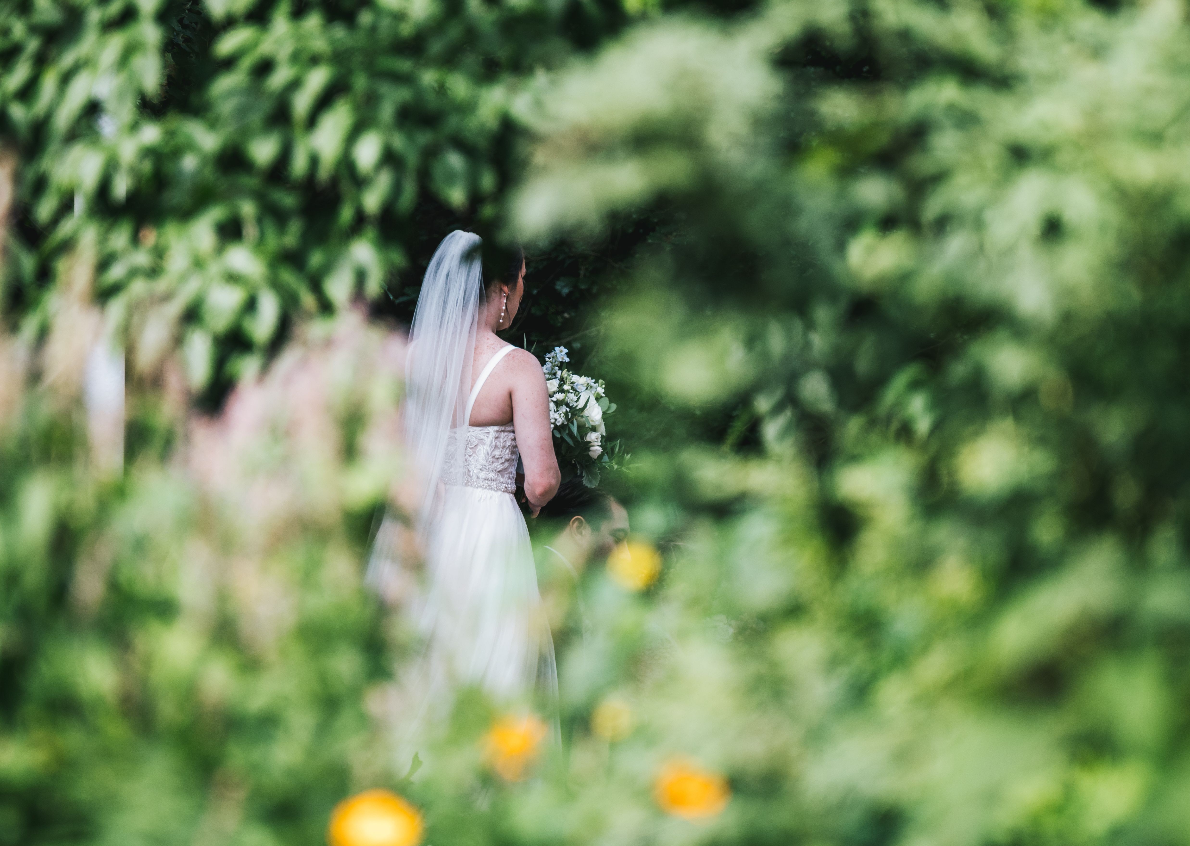 Winery owners to acquire Zingerman’s Cornman Farms, continue to host weddings &amp; events — Photo by Chris F on Pexels