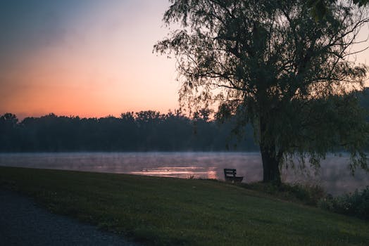 Serene lakeside view with mist and trees at dawn, featuring a lone bench and calm waters.