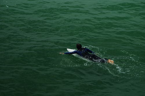 Bezpłatne Darmowe zdjęcie z galerii z fotografia surfowania, pływanie, scena surfowania Zdjęcie z galerii