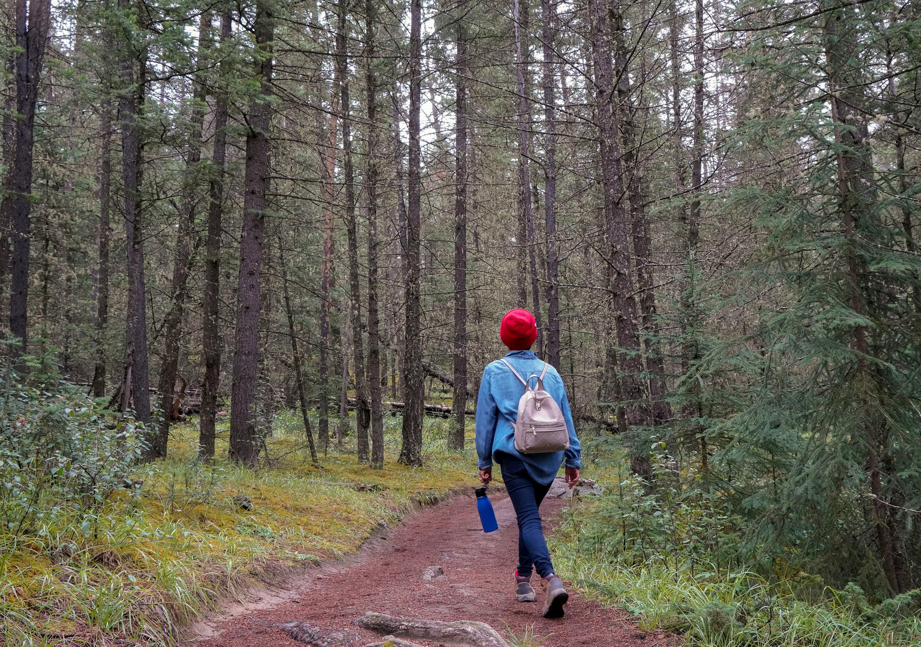 Trail Alone: Tips for Planning Solo Hiking Adventures