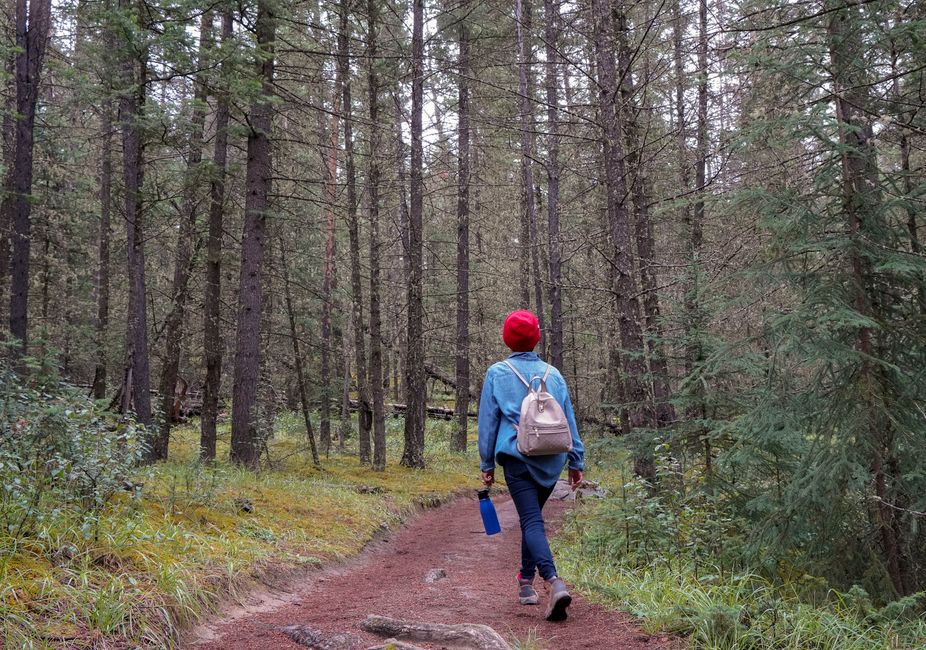 What are the best hiking trails near Ottawa?