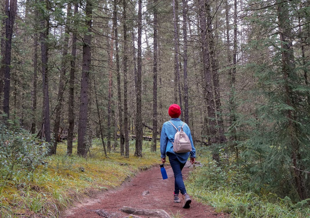 Person in Blue Jacket Walking on Dirt Road Between Trees