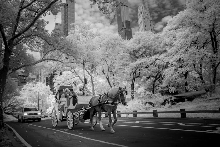 Grayscale Photo Of People Riding On Horse Carriage On Road