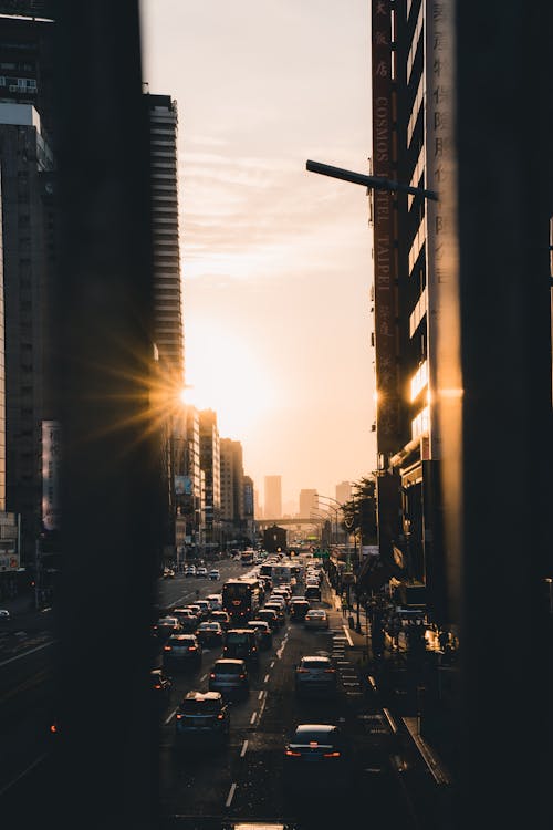 Traffic Jam in a City