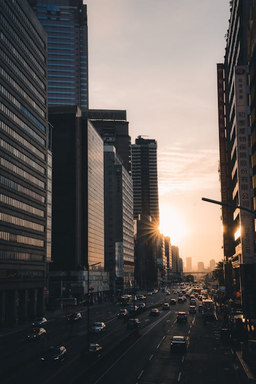 Traffic Jam in a City