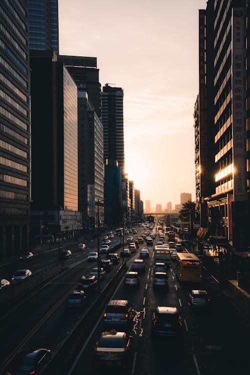 교통, 도로, 도시의 무료 스톡 사진