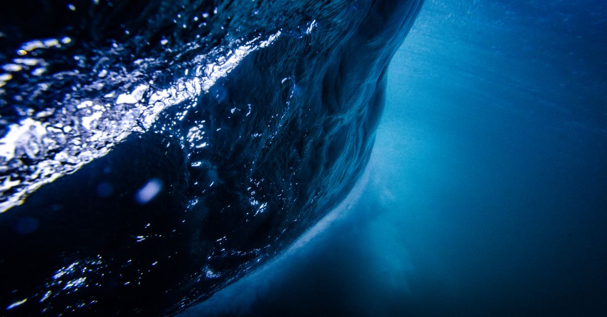 The Ocean's Deepest Secret: What We Found 8,000 Meters Below the Surface