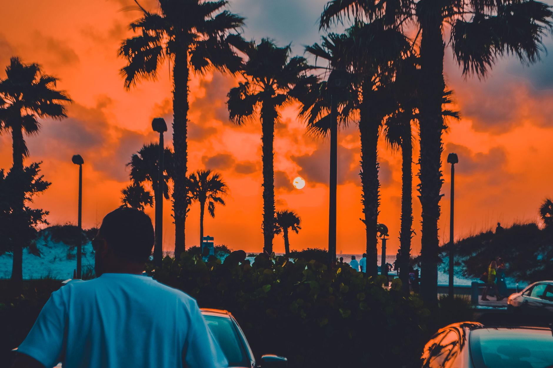 A vibrant sunset in Clearwater with palm trees silhouetted against the orange sky.