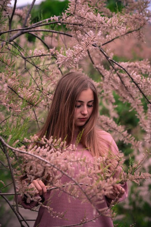 Free Young woman in a pink sweater surrounded by delicate flowering branches outdoors Stock Photo