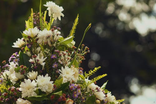 Gratis arkivbilde med blomster, blomsterarrangement, bukett