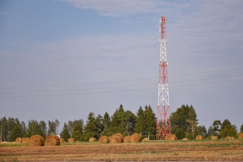 乾草, 無線電塔, 田 的 免费素材图片