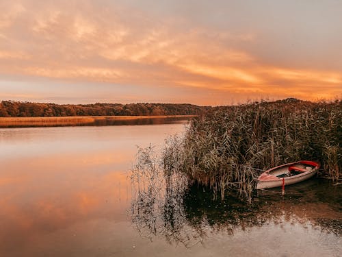 Základová fotografie zdarma na téma člun, jezero, obloha