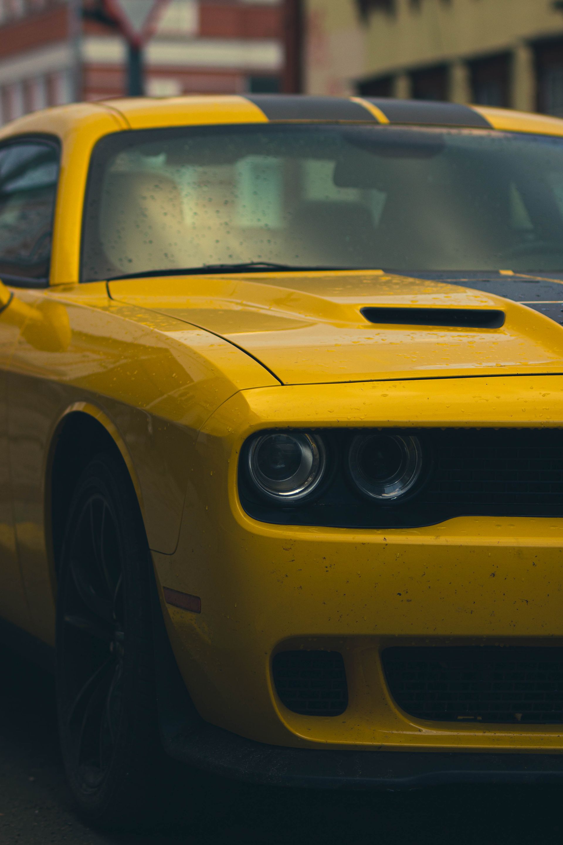 Yellow sports car gleaming after premium detailing