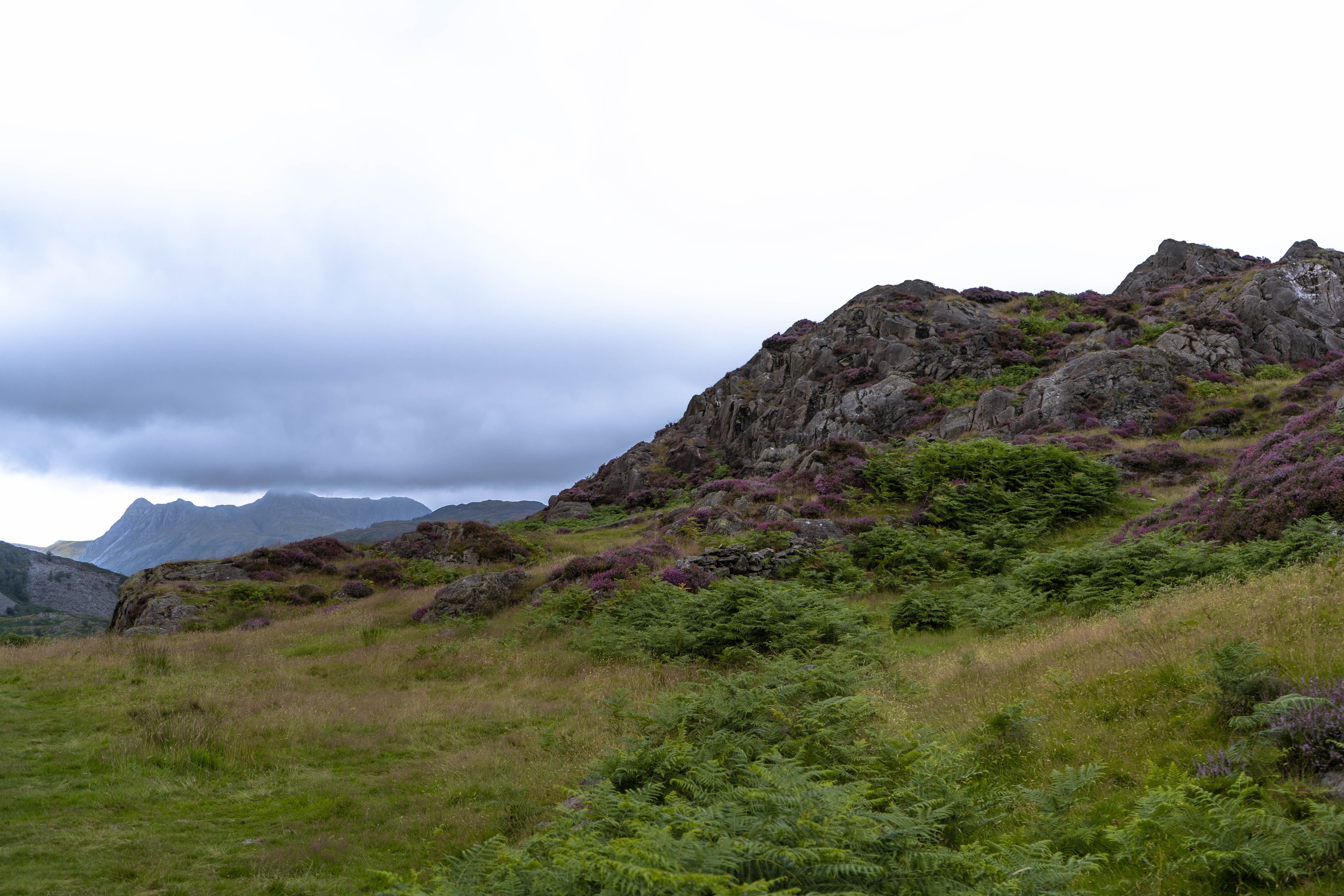 Green Grass Field on a Mountain under Cloudy Sky · Free Stock Photo