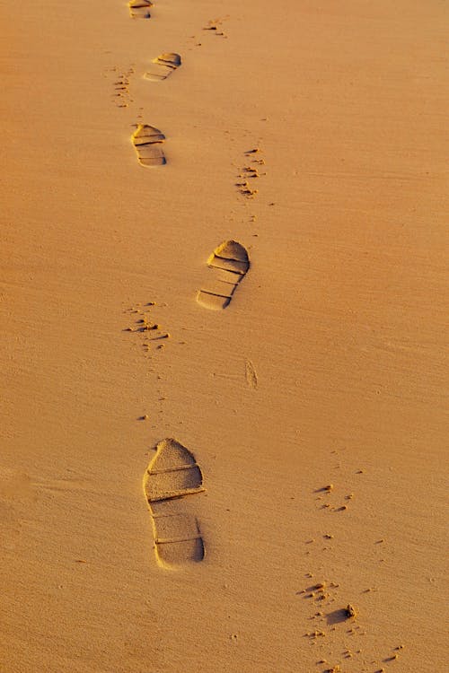 Immagine gratuita di impronte, sabbia, tiro verticale