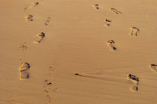 Foto d'estoc gratuïta de marques, petjades, sorra de platja