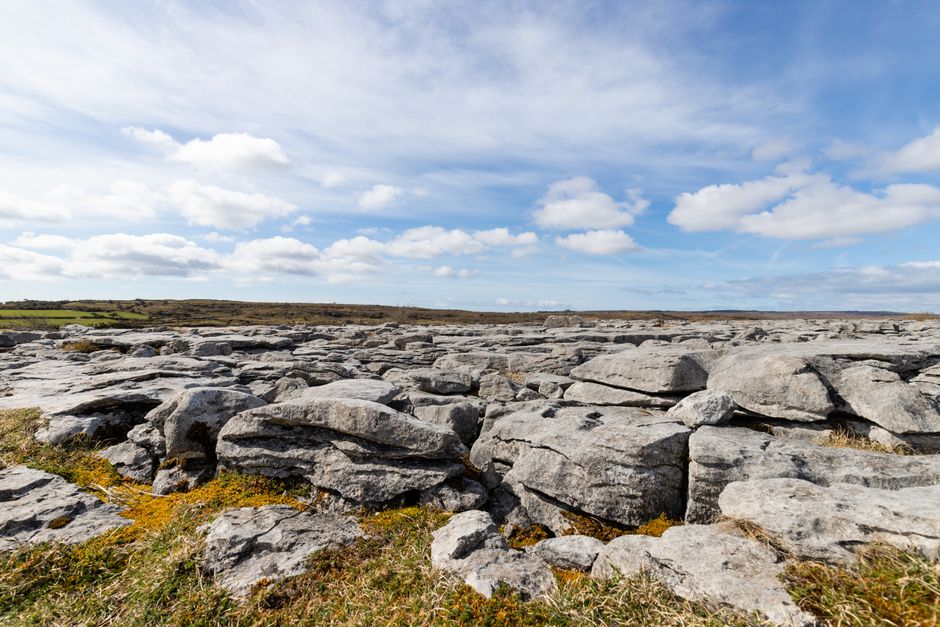 Randonnée Birchfield Loop - Burren