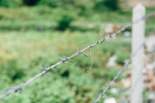 A sharp and detailed close-up of barbed wire with a blurred natural background.