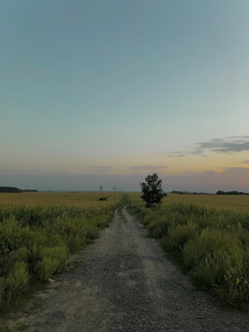 Photo of Dirt Road During Dawn