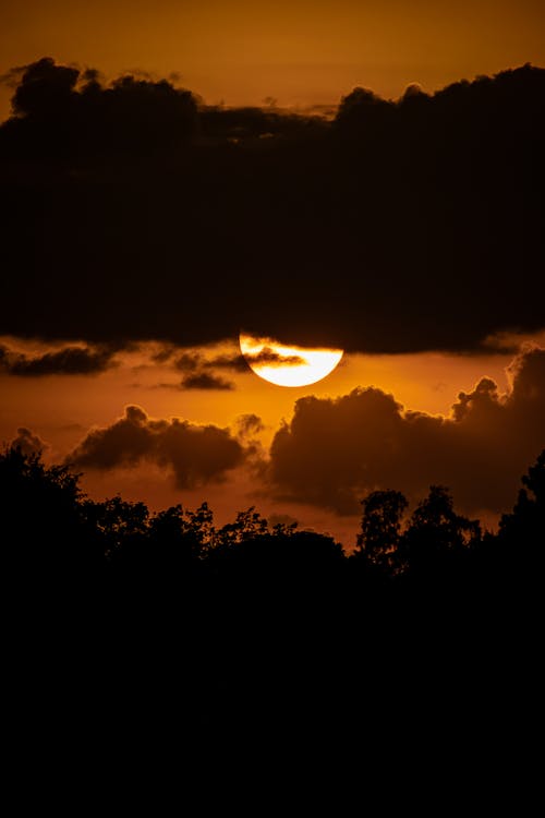 Silhouette of Trees and Clouds during Sunset