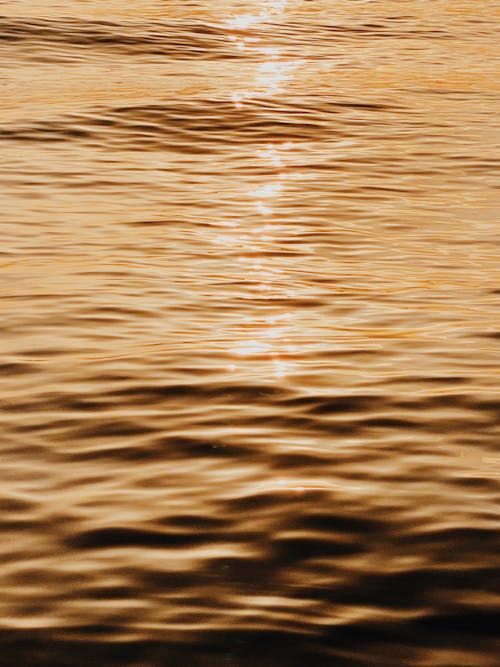 Body of Water with Sunlight Reflection