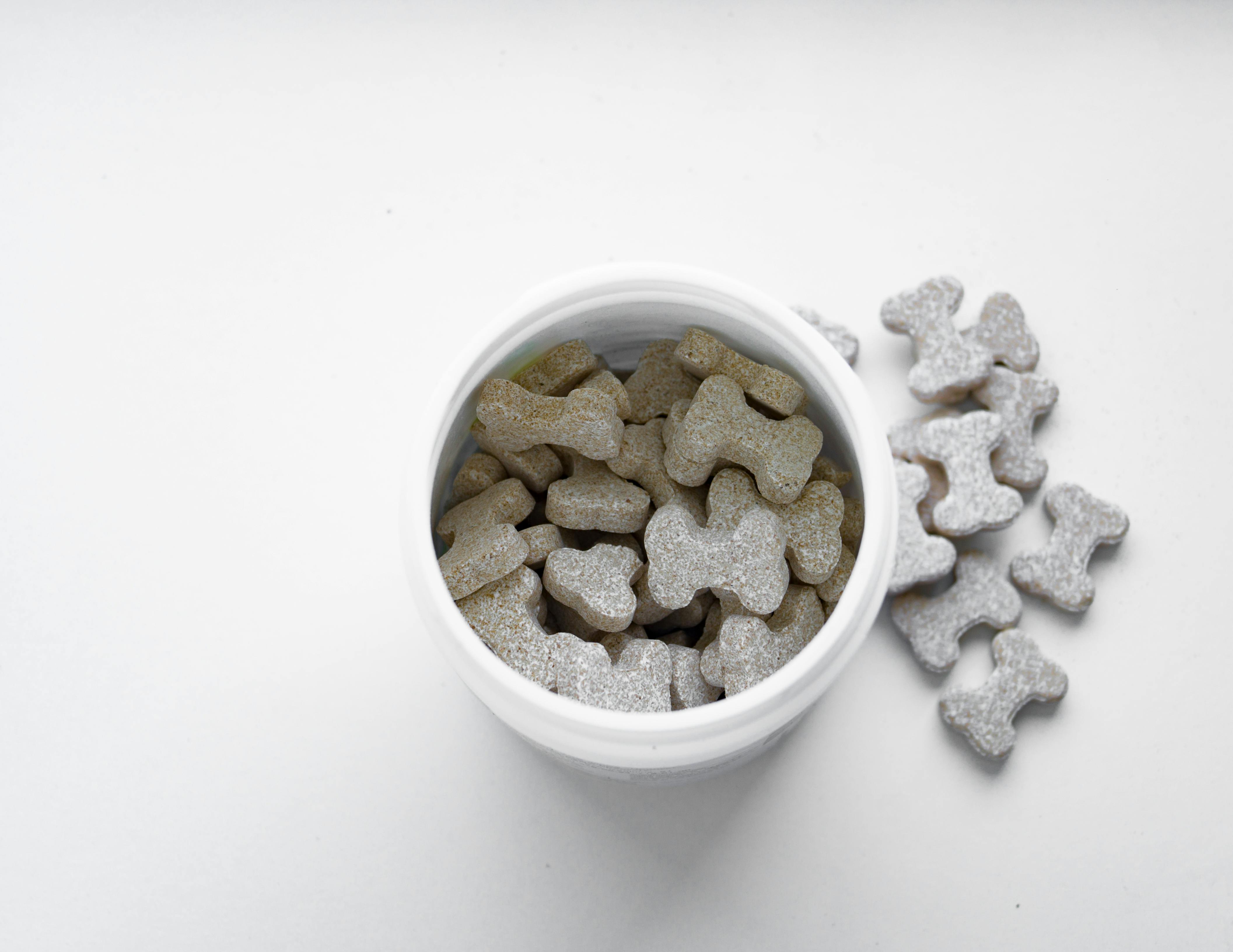 Close-up of Dog Treats on a Container