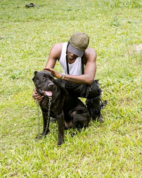 Free A man kneeling on grass affectionately petting his Cane Corso dog in a serene outdoor setting. Stock Photo