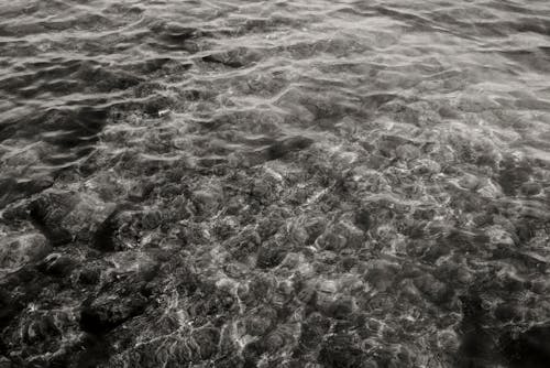 Foto d'estoc gratuïta de aigua, blanc i negre, monocrom