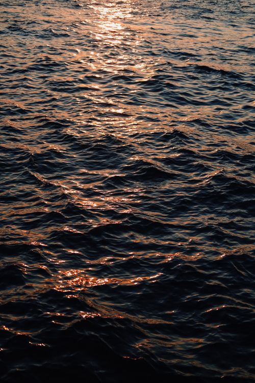 Free Warm sunset light reflecting on gentle ripples across a serene water surface. Stock Photo