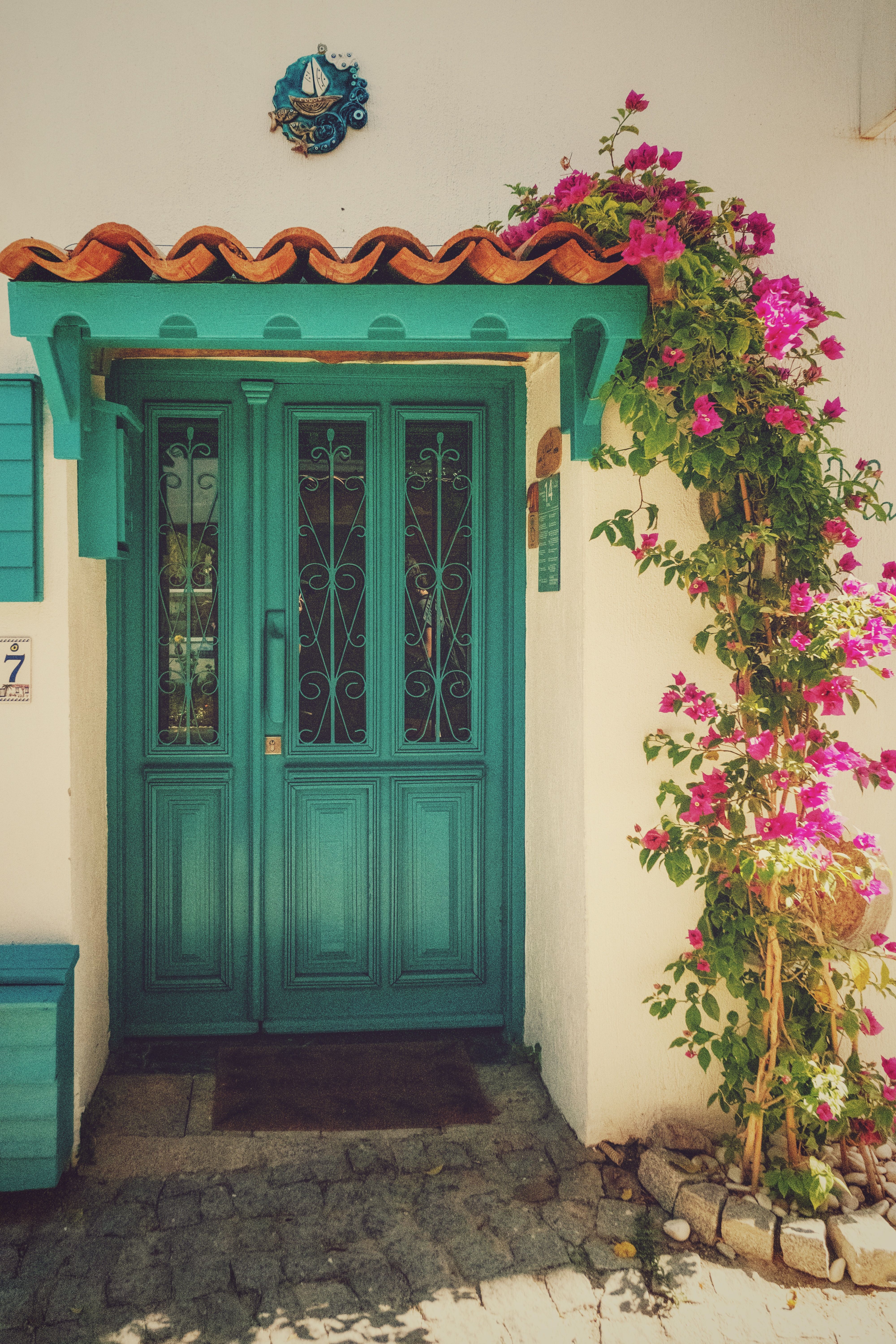 teal-colored-wooden-door-free-stock-photo