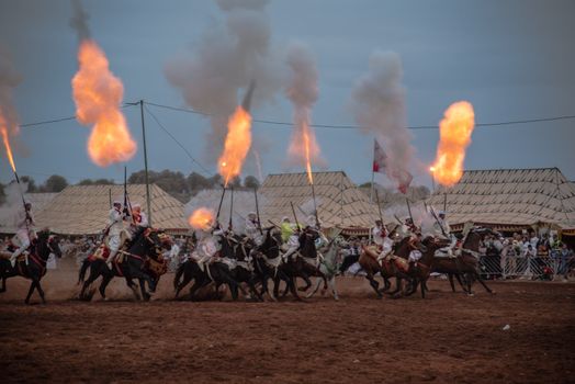 Moroccan Horses