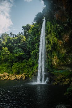 Stunning waterfall cascading in a dense forest setting, capturing the essence of nature's beauty.